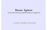 Rocas Igneas PDF