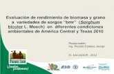 13 Analisis de Estabilidad de Variedades de Sorgo Bmr en Centroamerica 2010