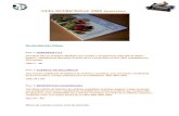 Guia nutricional P90x traducida