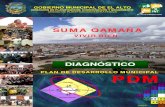 1 Diagnóstico PDM-2007-2011