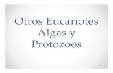 Otros Eucariotes Algas y Protozoos 2.pdf