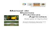 Manual de Buenas Practicas Agricolas