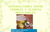 Interacciones Farmaco Planta Medicinales