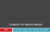 Conducto Mesio Medio Mb2 Conducto en c