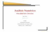 Analisis Numerico Universidad de Venezuela - Kay Tucci
