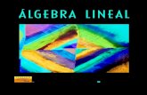 Algebra Lineal, 8va Edición - Bernard Kolman & David R. Hill