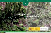10374 Energia de La Biomasa 07