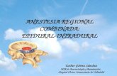 Anestesia Combinada (Epidural + Peridural)