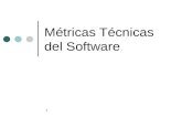 Metricas Tecnicas Del Software - COCOMO II