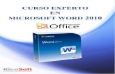 Curso Experto en Word 2010 RicoSoft
