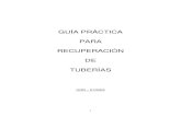 Guía Práctica para Recuperación de Tuberías.pdf