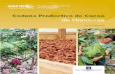 Cadena Productiva de Cacao de Honduras 2011