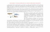 65804518 Historia y Evolucion de La Inyeccion Electronica Tarea