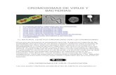 .Cromosomas de Virus y Bacterias