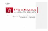 Pmdu Pachuca-8 Bis