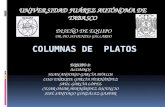 Hidráulica de Columnas de Platos - Exposición - Equipo 2