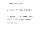 Visto y No Visto-Peter Burke