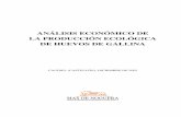 Analisis Economico Huevo Eco[1]