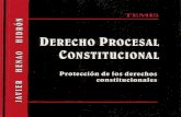 Derecho Procesal Constitucional - Henao Hidron, Javier
