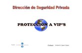 38687838 Proteccion de VIPs