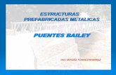 PUENTES BAILEY Exposicion.pdf