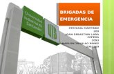 BRIGADAS DE EMERGENCIA (EXPOSICIÓN SEGURIDAD industrial)