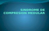 Sindrome de Compresion Medular