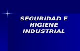 40564601-Seguridad-e-Higiene-Industrial (2).ppt