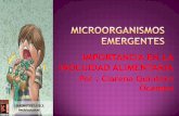 MICROORGANISMOS EMERGENTES