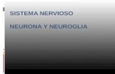 Neurona y Neuroglia 1.Ppt