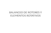 Balanceo de Rotores y Elementos Rotativos