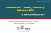 Aplicativos Anexos y Formatos SNIP