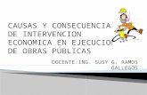 CAUSAS Y CONSECUENCIAS DE INTERVENCION ECONOMICA EN EJECUCION[1].pptx
