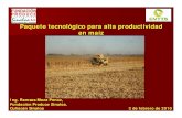 Paquete Tecnologico Para Alta Productividad en Maiz