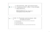 CAP12 Sintesis de Proteinas Traduccion.pdf
