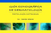 Guia Iconografica Dermatologia Www.rinconmedico.smffy.com