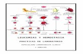 Cuadernillo Leucemias y Hemostasia