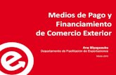 Medios y Formas de Pago - Financiamiento - Garantias