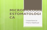 MICROBIOLOGIA ESTOMATOLÓGICA.pptx