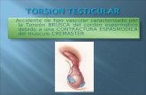 espermatocele y torsión testicular.ppt