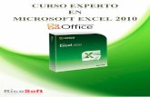 Curso Experto en Excel 2010 RicoSoft