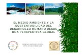 El Medio Ambiente y La Sustentabilidad Del Desarrollo Humano Desde Una Perspectiva Global, Gonzalo Mardones.