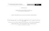 Manual Programacion Lineal01