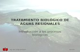TRATAMIENTO BIOLÓGICO DE AGUAS RESIDUALES