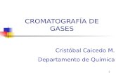 CROMATOGRAFÍA DE GASES 2
