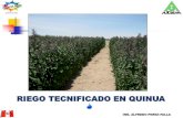 9 Perez Falla Riego Tecnificado en Quinua[1]