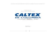 Sistema de gestion de seguridad y salud en el trabajo caltex de colombia s