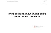 Programa Pilar 2011