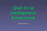 Que es-la-inteligencia-emocional-1198801923592364-3