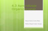 4.3 aprendizaje organizacional